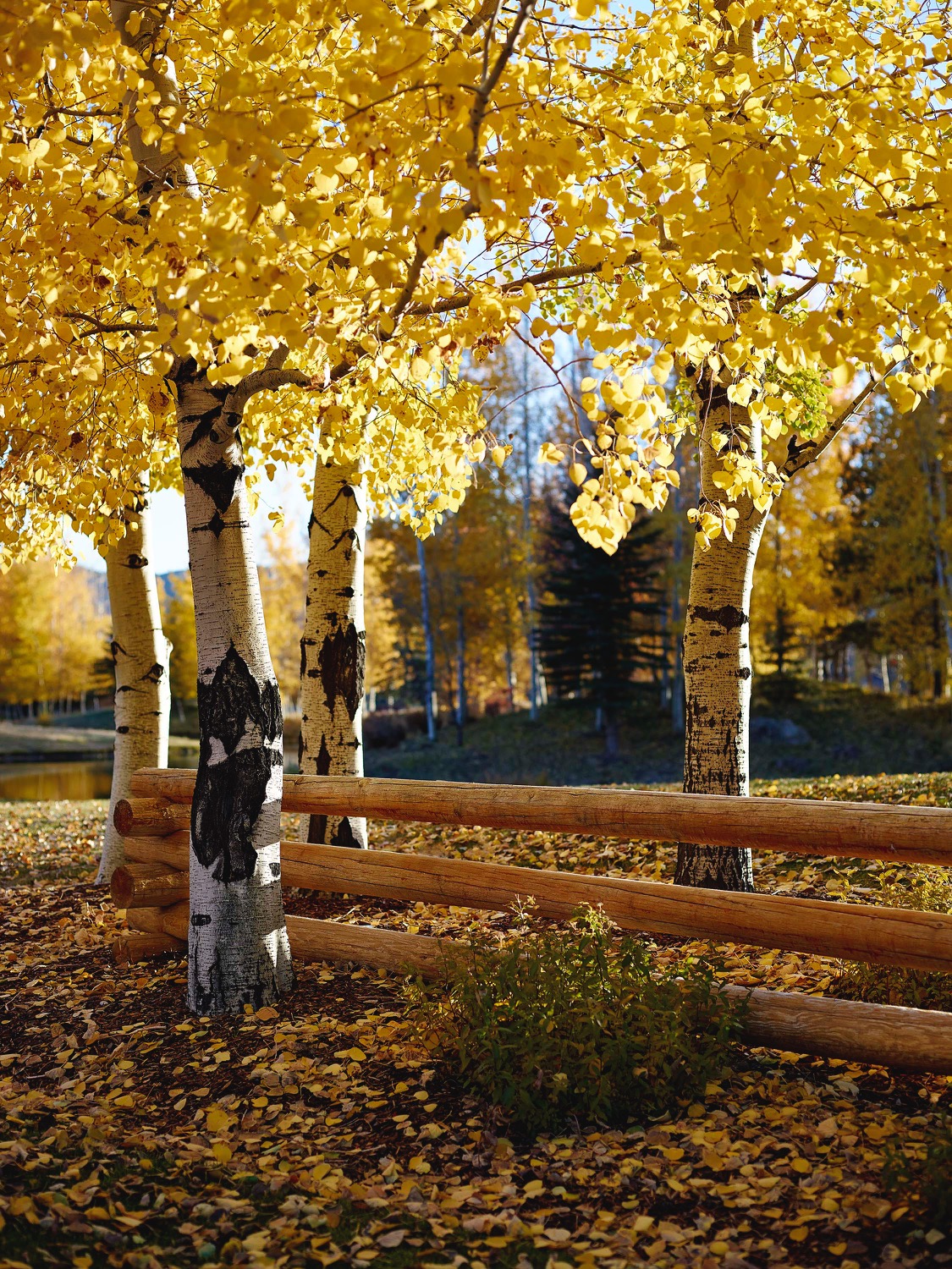 The Valley Club Owners Association